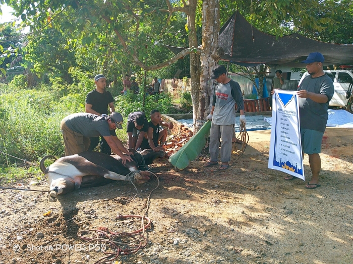 Unimuda Sorong Sembelih 14 Hewan Kurban di Empat Titik, Daging Dibagikan hingga Kampung Terpencil